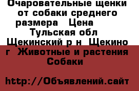 Очаровательные щенки от собаки среднего размера › Цена ­ 50 - Тульская обл., Щекинский р-н, Щекино г. Животные и растения » Собаки   